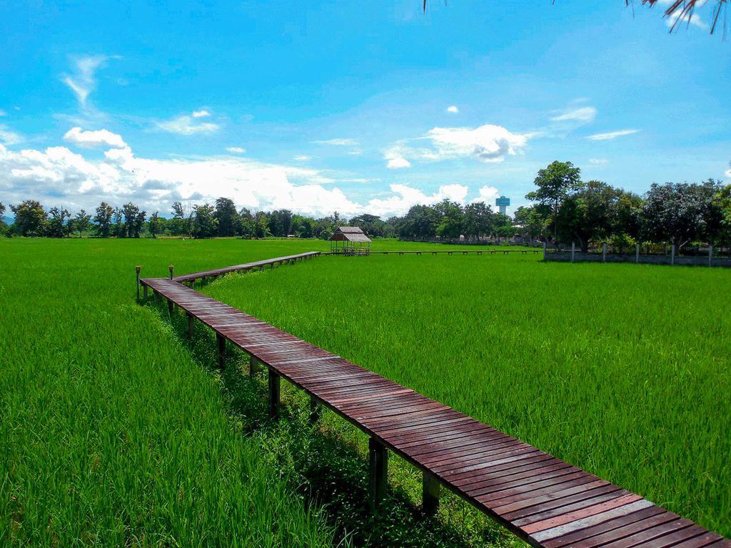Palm Spa Village Resort Mae Rim Bagian luar foto