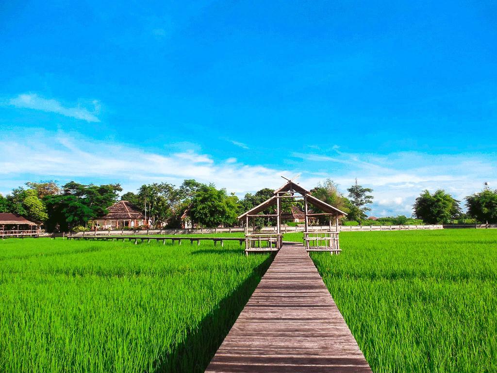 Palm Spa Village Resort Mae Rim Bagian luar foto