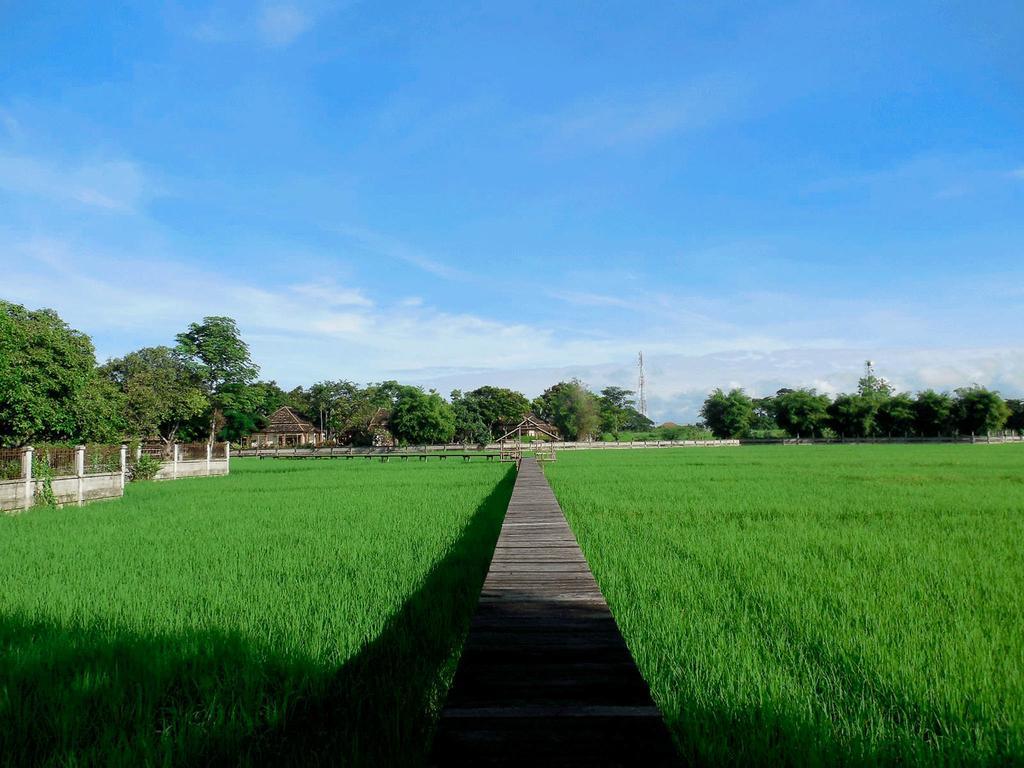 Palm Spa Village Resort Mae Rim Bagian luar foto